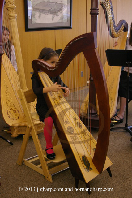 Chicago Suzuki harp and piano lessons