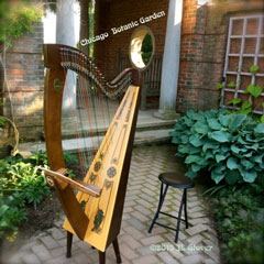 Chicago harpist wedding music