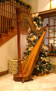 Glenview Wilmette harpist