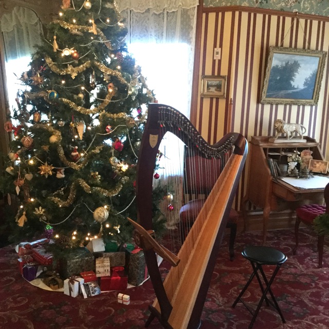 Oak Park, Illinois harpist Joanne Glover 