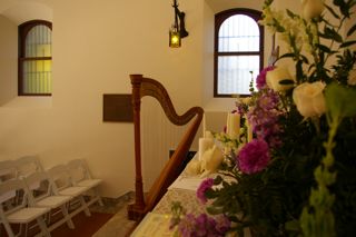 harpist, Naperville, Oak Brook Illinois