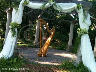 harpist, Redfield Estate wedding and reception