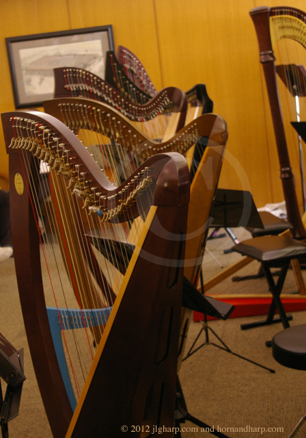 lever harp teacher in Illinois